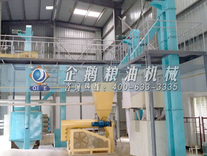 如何投資建設棕櫚油加工廠？企鵝糧油機械在線為您答疑解惑(圖4)